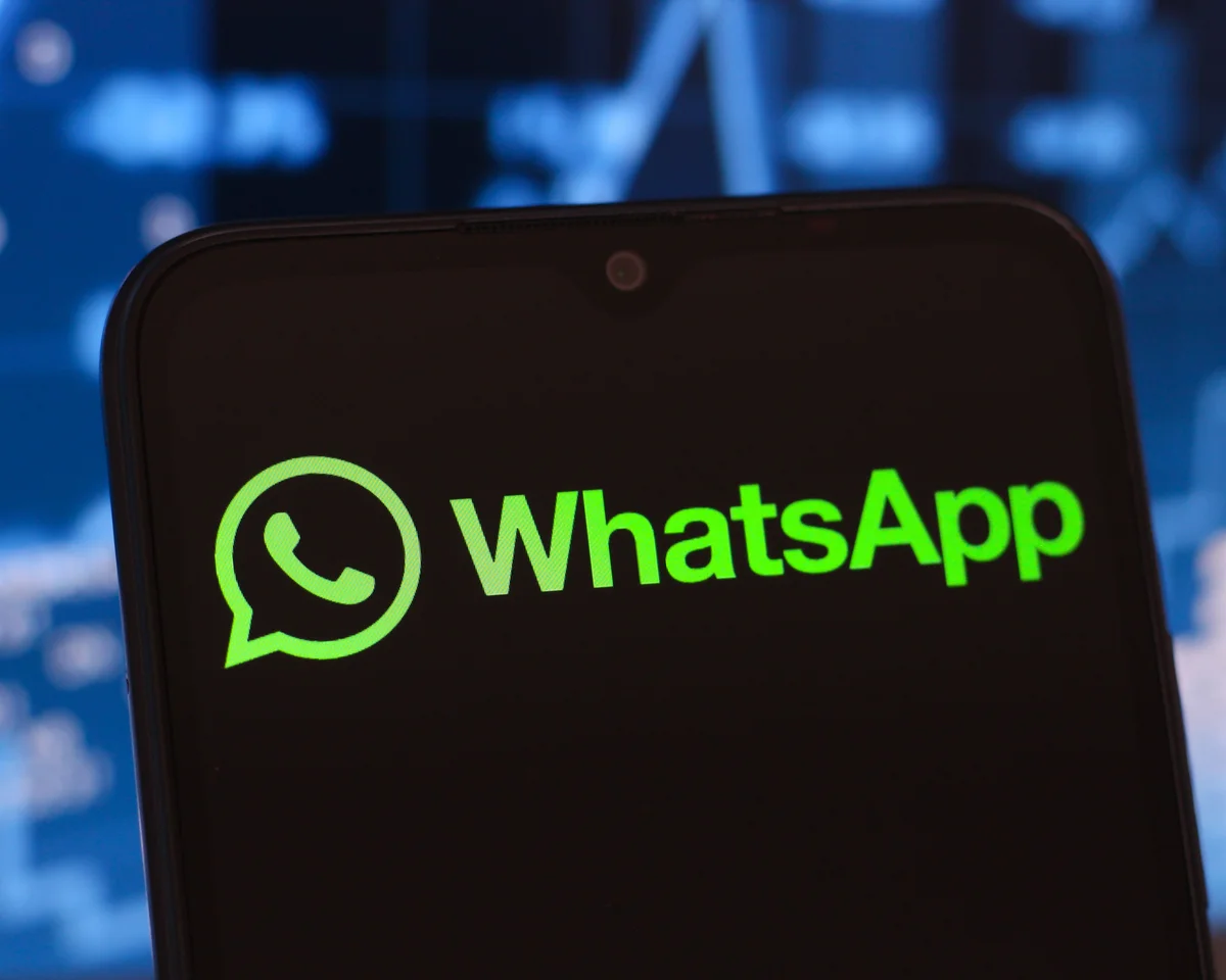 What are the criteria for checking for WhatsApp Business activated phone numbers? Explained in one article